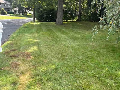Lawn care service in Naugatuck, 06770