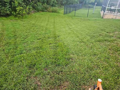 Lawn care service in Tampa, 33626