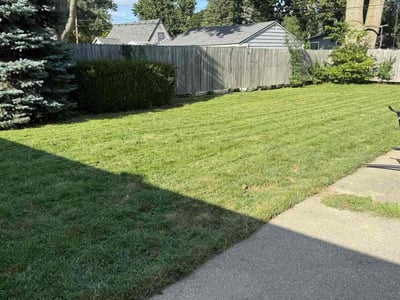 Lawn care service in Ypsilanti, 48198
