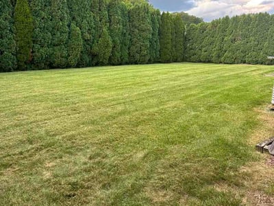 Lawn care service in Easton, 18040