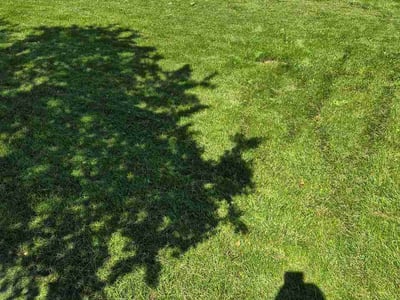 Lawn care service in Airway Heights, 99001