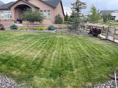 Lawn care service in Colorado Springs, 80924