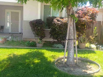 Lawn care service in Elk Grove, 95624