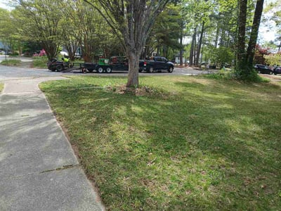 Lawn care service in Raleigh, 27615