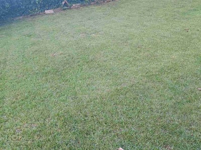 Lawn care service in Marietta, 30060