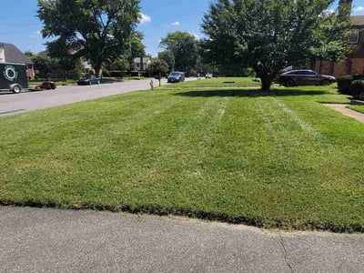 Lawn care service in Richmond, 23228