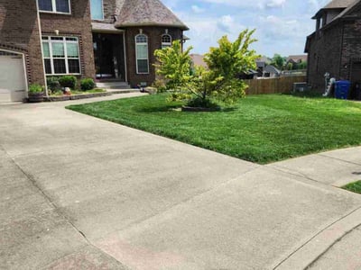 Lawn care service in Clarksville, 37043