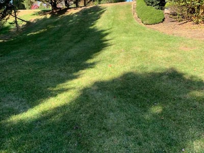 Lawn care service in Lynchburg, 24503