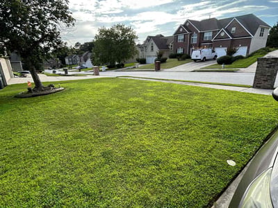 Lawn care service in Loganville, 30052