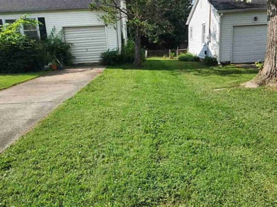 Lawn care service in Bowling Green, 42103