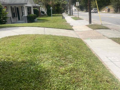 Lawn care service in Atlanta, 30314