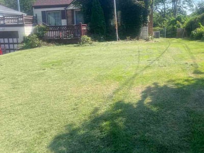 Lawn care service in Omaha, 68104