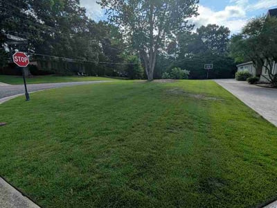 Lawn care service in Vestavia Hills, 35243