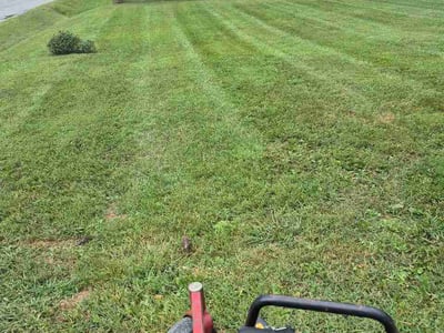 Lawn care service in Lynchburg, 24502