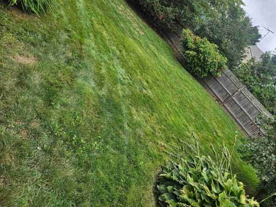 Lawn care service in East Providence, 02916