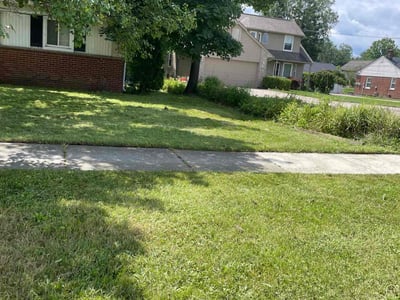 Lawn care service in Livonia, 48152