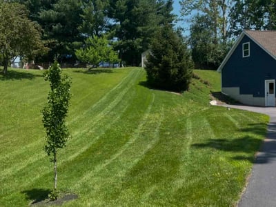 Lawn care service in Mechanicsburg, 17055