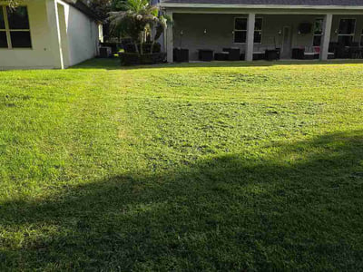 Lawn care service in Tampa, 33647