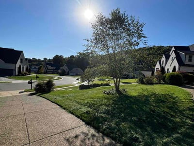 Lawn care service in Nolensville, 37135