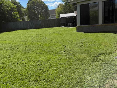 Lawn care service in Hampton, 23669