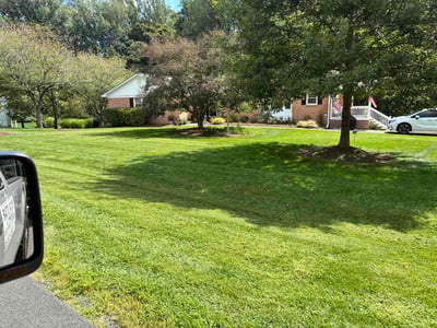 Lawn care service in Fairfax, 22030
