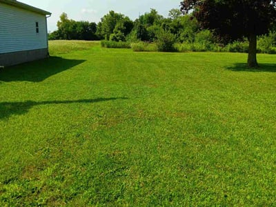 Lawn care service in Dayton, 45415