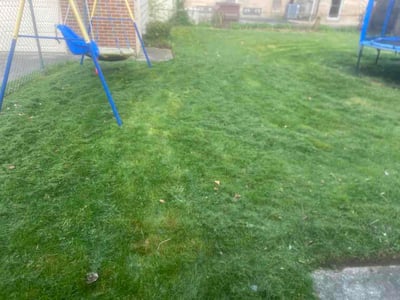 Lawn care service in Toledo, 43606