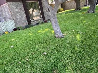 Lawn care service in Grand Prairie, 75052