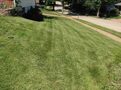 Lawn care service in Ballwin, 63021