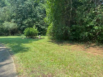 Lawn care service in Newnan, 30263