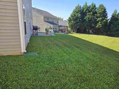Lawn care service in Charlotte, 28213