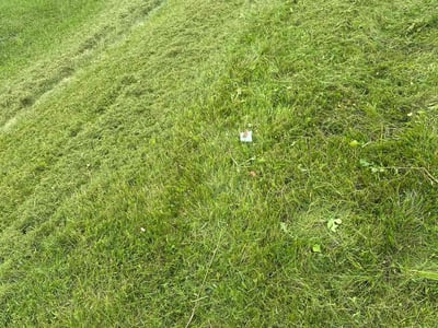 Lawn care service in Indianapolis, 46235