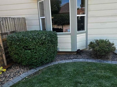 Lawn care service in Colorado Springs, 80923