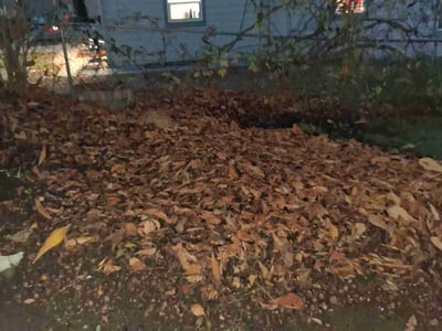Lawn care service in Tukwila, 98168
