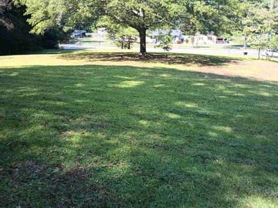 Lawn care service in Newnan, 30263