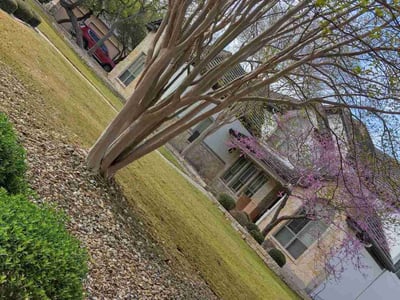 Lawn care service in San Antonio, 78260