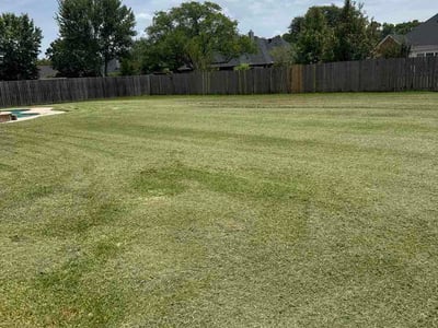 Lawn care service in Bossier City, 71111