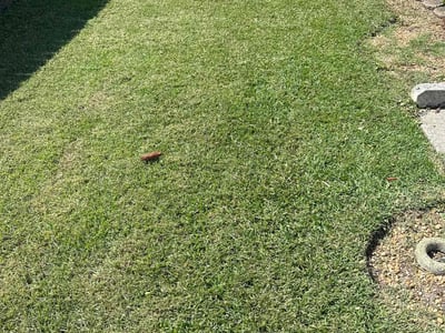 Lawn care service in Jacksonville, 32216