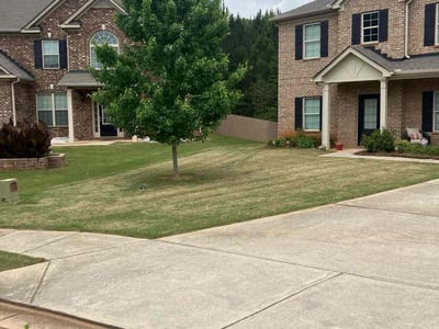 Lawn care service in McDonough, 30253