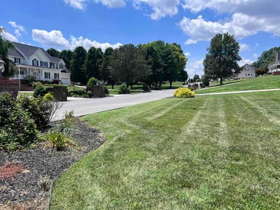 Lawn care service in Blountville, 37617