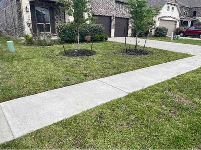 Lawn care service in Cypress, 77429