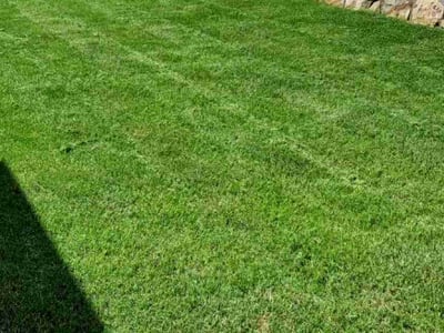 Lawn care service in Van Alstyne, 75495