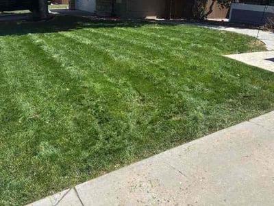 Lawn care service in Littleton, 80130
