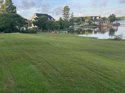 Lawn care service in Chapin, 29036