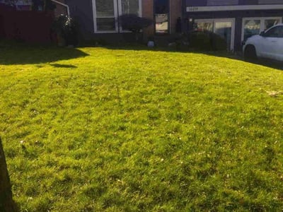 Lawn care service in Tukwila, 98168