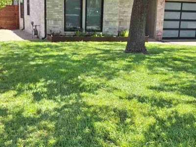 Lawn care service in Austin, 78727