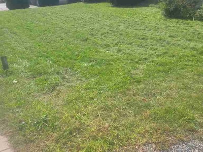 Lawn care service in Scituate, 02831
