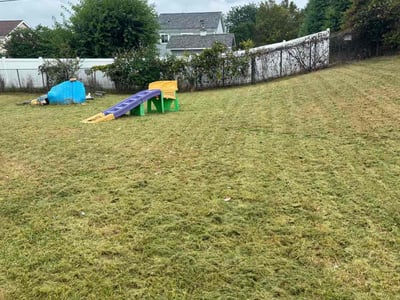 Lawn care service in Glenshaw, 15116