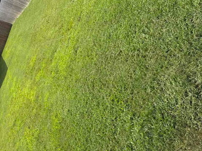 Lawn care service in Cabot, 72023