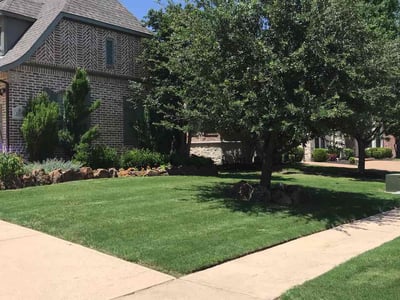 Lawn care service in Allen, 75013